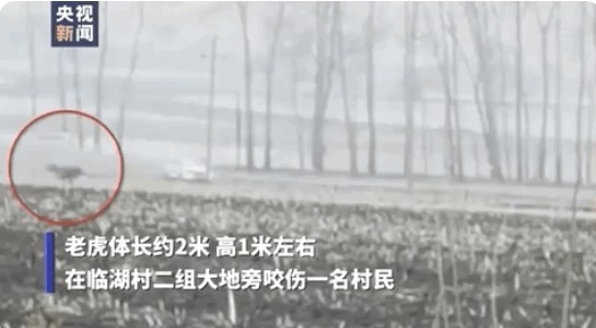 이후 논두렁을 걷고 있던 농부를 발견하고 달려가는 모습. 이하 