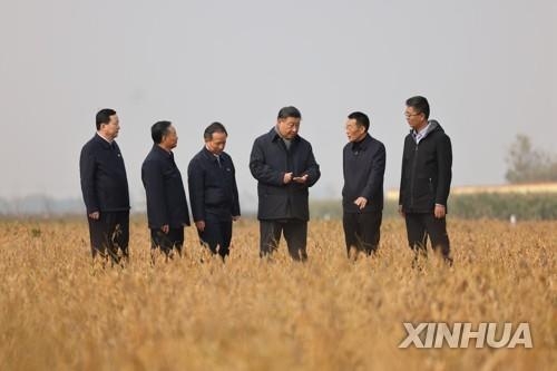  2021년 10월 시진핑 중국 국가주석이 산둥성 대두 밭을 시찰하는 모습. 사진=연합뉴스/한중21 제휴사 