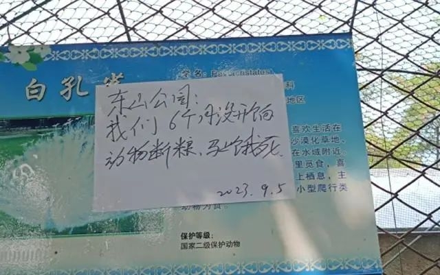 9월 5일 중국 랴오닝성의 한 동물원에 게시된 사육사 임금 체불 관련 게시물. 사진=중국 포털 바이두 캡처