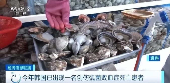 한국 서해안의 해수 샘플에서 비브리오 패혈균이 발견. 사진=중국중앙TV(CCTV)