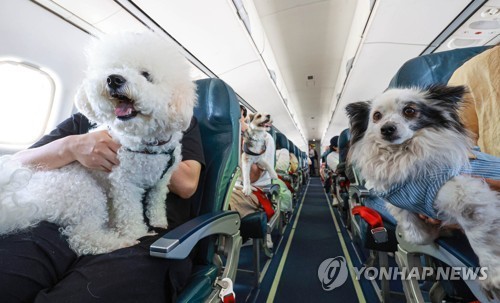 <strong>반려견과 함께하는 비행기 여행. 사진=연합뉴스</strong>